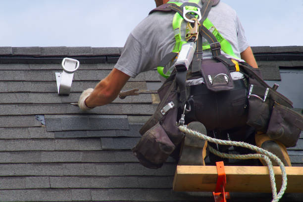Roof Gutter Cleaning in Cadiz, KY