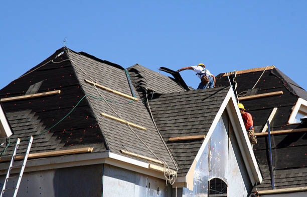 Best Roof Gutter Cleaning  in Cadiz, KY